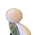Facial Brush