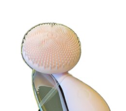 Facial Brush