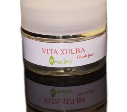 Vita Xulba